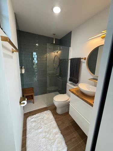 a bathroom with a toilet and a sink and a shower at La Casita de Acero in Rio Grande