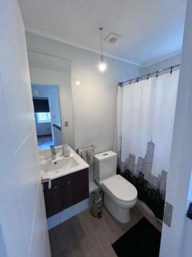 a bathroom with a white toilet and a sink at Cómoda Casa en Panguipulli in Panguipulli