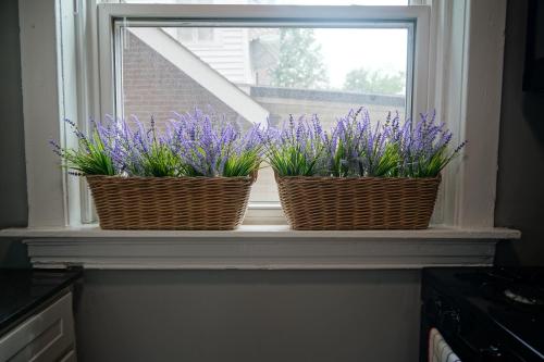 two baskets sitting on a window sill with purple flowers at Cute Neighborhood Rainbow Apt in Saint Louis