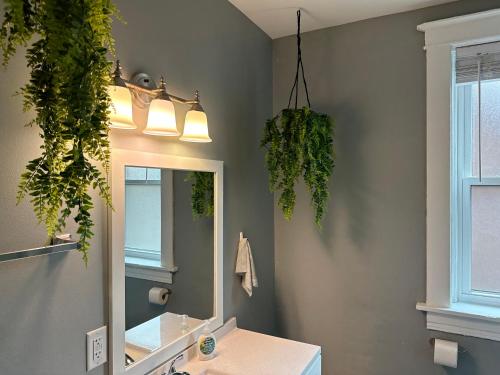 a bathroom with a mirror and plants on the wall at Cute Neighborhood Rainbow Apt in Saint Louis