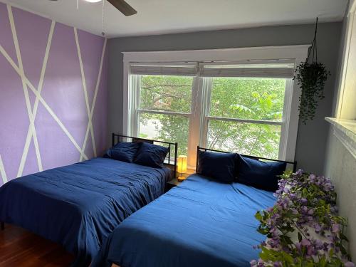 two blue beds in a room with a window at Cute Neighborhood Rainbow Apt in Saint Louis