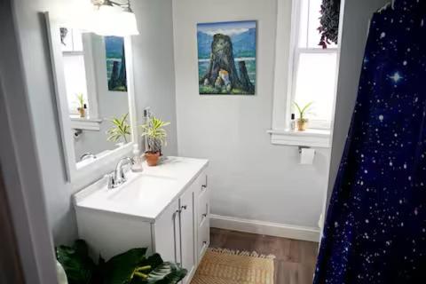 a bathroom with a sink and a mirror at Cute Neighborhood Rainbow Apt in Saint Louis