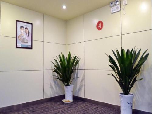 two potted plants in a room with white walls at Jinjiang Inn Nanjing Xinjiekou in Nanjing