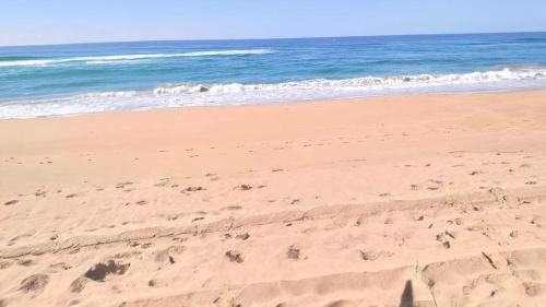 KingsboroughにあるCoastal Beach Escapeの砂浜と海の足跡がある海岸