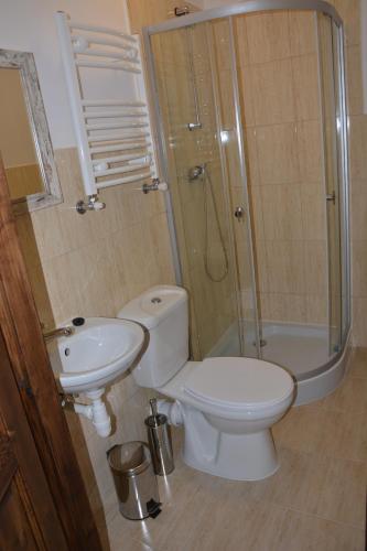 a bathroom with a toilet and a shower and a sink at Agro Przy Kominku in Rozogi