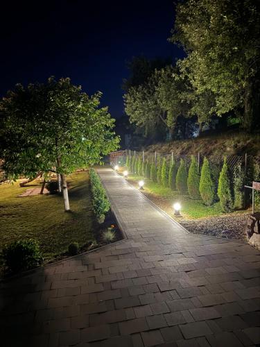 Taman di luar House of moonlight