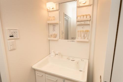 a bathroom with a sink and a mirror at Skytree Tokyo Residence Aoto in Tokyo