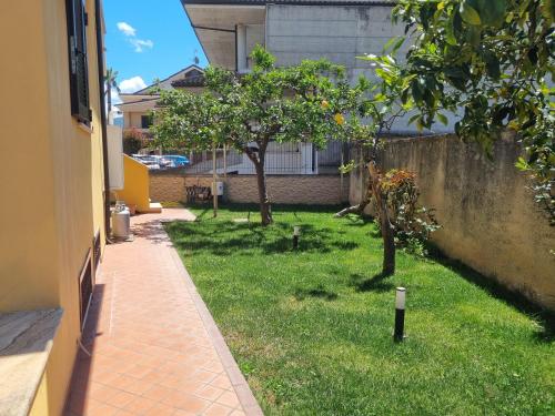 a yard with two trees and a fence at La perla marina in Cellole
