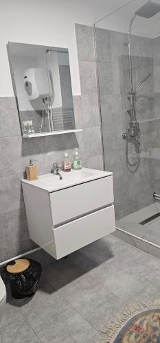 a bathroom with a white sink and a shower at Cabana Dara in Cumpăna