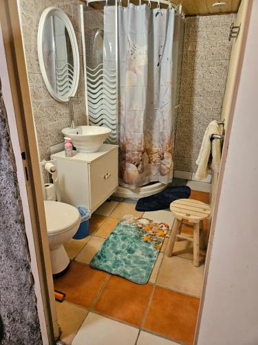 a bathroom with a toilet and a sink at La roulotte au bord de l'étang 