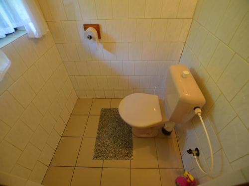 a small bathroom with a toilet and a shower at Outdoor Adventure & Relaxation in Svinařov