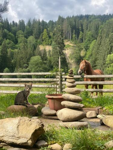 a cat sitting next to a stack of rocks with a horse at Садиба Урочище Луг in Vorokhta