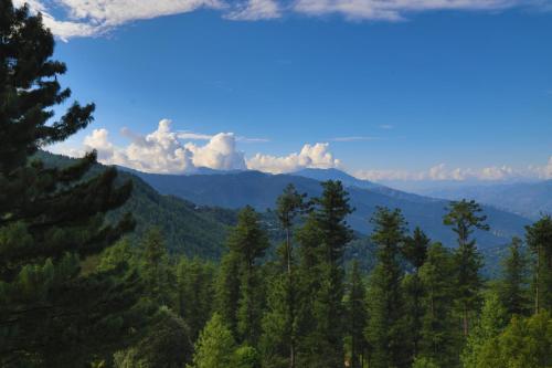 Afbeelding uit fotogalerij van Nizalia Hotel by Marvelous Holidays in Patriata