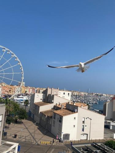 T2 Apartment, Sea View, Terrace