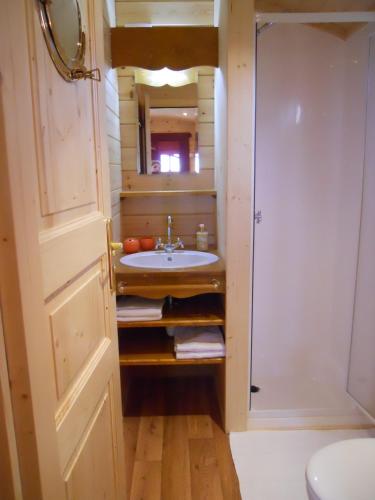 une salle de bain avec un lavabo et une douche dans l'établissement chambres d'hôtes le Boyer, à Mantenay-Montlin