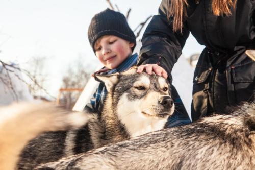 a young boy petting the head of a dog at Tundrea Holiday Resort in Kilpisjärvi