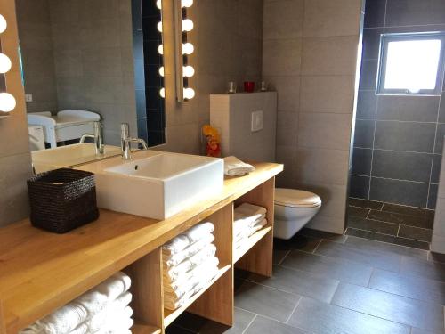 a bathroom with a sink and a toilet at Bakki in Jarðlangsstaðir