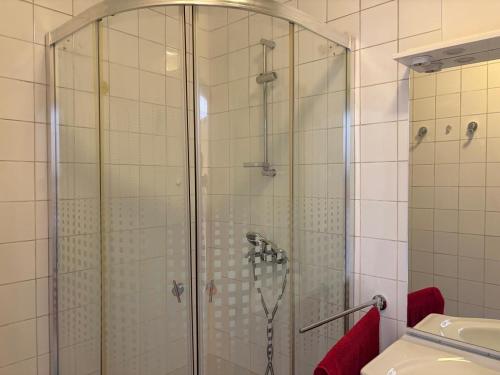 Un baño de Grebaville - 1