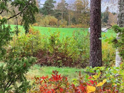 a green field with a tree and some bushes at 4 person holiday home in HOLSLJUNGA-By Traum in Holsljunga
