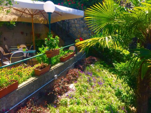a garden with flowers and plants in pots at Villa Emma Malcesine in Malcesine