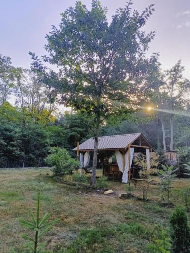 a small cabin in a field with a tree at Wood Camping in Brochów