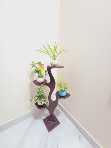 Luxurious Ac Room with Washroom & Balcony