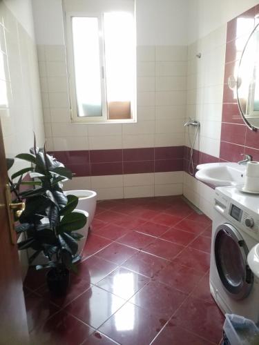 baño con aseo y planta en Rose Hostel, en Tirana