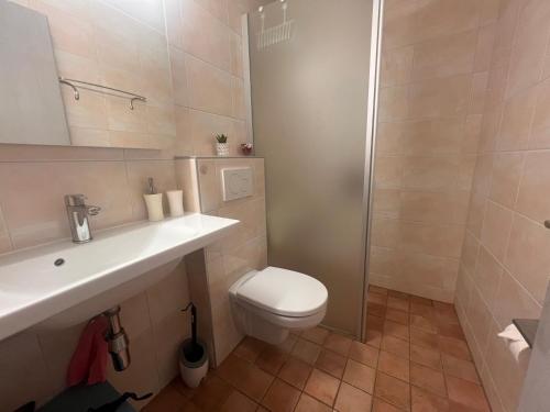 a bathroom with a toilet and a sink and a shower at Résidence Dent-Blanche, Evolène in Evolène