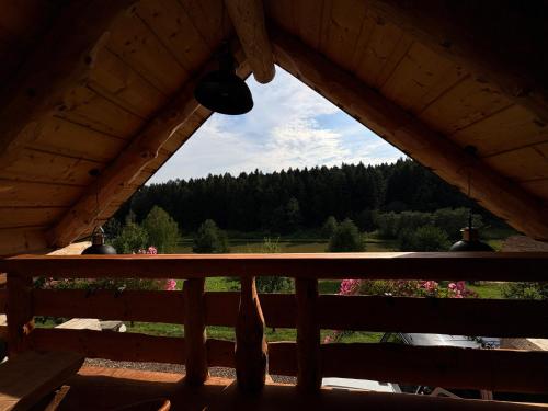 Příroda nedaleko prázdninového domu