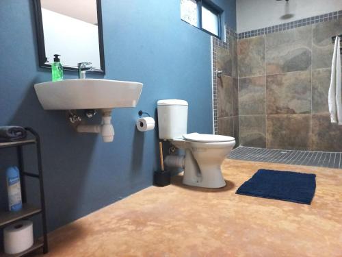 a bathroom with a sink and a toilet and a shower at Shaka's Rest Studio Two in Mount Moreland