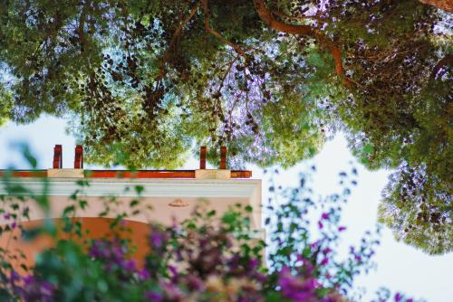 un bâtiment sous un arbre avec des fleurs au premier plan dans l'établissement Villa Chiara - Lavi Luxury Apartments, à Capri