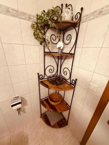 ein Regal in einem Badezimmer mit einer Pflanze darauf in der Unterkunft Appartement in 1700m mit Traumblick in Grächen