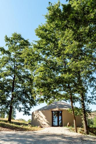 a tent under two trees on a dirt road at Farkaskútvölgy in Felsőtold