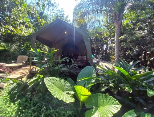 Gallery image of Shaka's Rest Nandi's Kraal in Mount Moreland