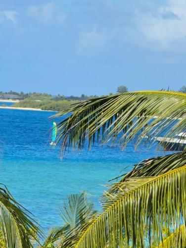 a view of the ocean from a palm tree at Noah Private Beach House in Himmafushi