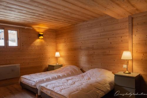 Superbe chalet 6 ch. au pied du domaine des 2 Alpes