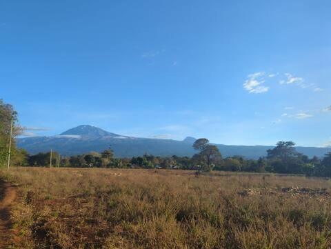 a field of grass with a mountain in the background at Karibu Homestay in Moshi