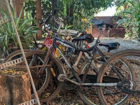 a bike is parked next to a plant at Karibu Homestay in Moshi