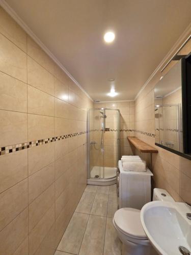 a bathroom with a shower and a toilet and a sink at Namelis Šventoji in Palanga