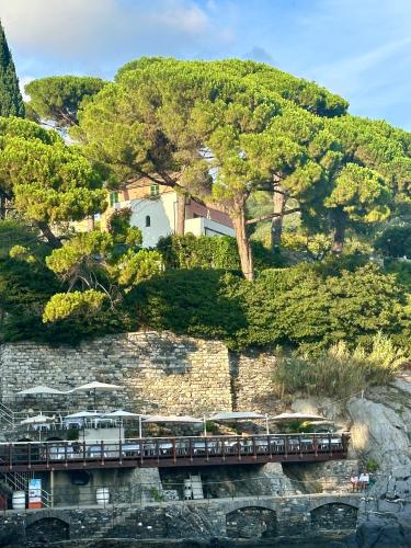 a train on a bridge on a hill with trees at Giardino in villa Margherita in Zoagli