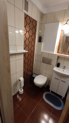 a small bathroom with a toilet and a sink at Apartament pod Górą Chełmską in Koszalin