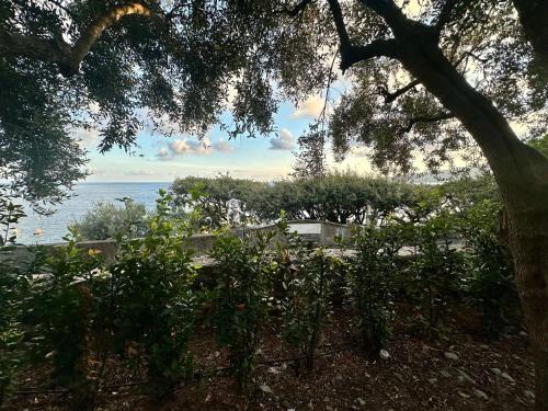 a view of the ocean from under a tree at Giardino in villa Margherita in Zoagli