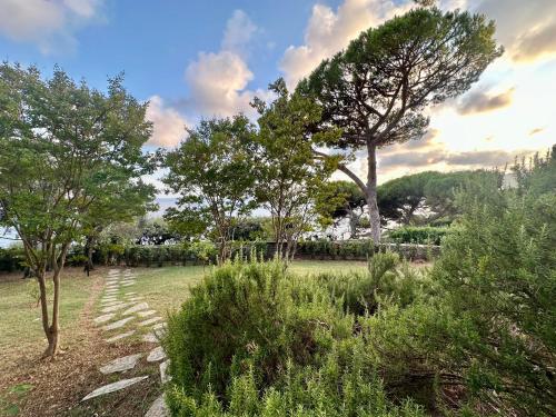 a path in a field with trees and bushes at Giardino in villa Margherita in Zoagli