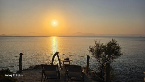Φυσικό τοπίο κοντά σε αυτό το διαμέρισμα
