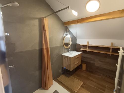a bathroom with a sink and a mirror at Chalet de l'Aiguille Noire in Montricher-Albanne