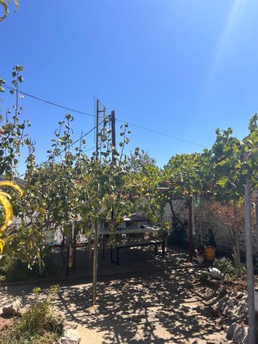 Κήπος έξω από το Heartbeat