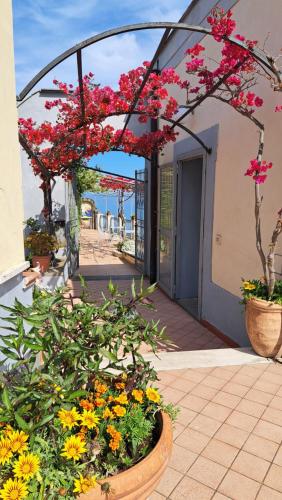 Fotografie z fotogalerie ubytování Domus San Vincenzo v destinaci Sant'Agnello