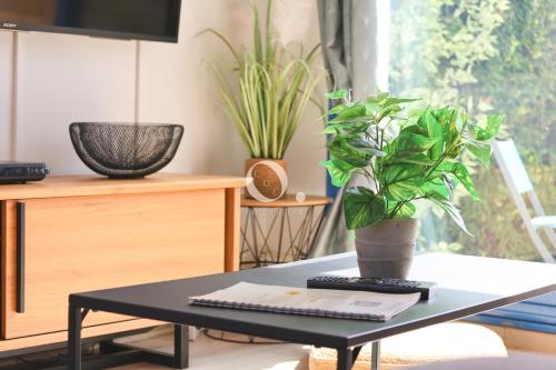 a black coffee table with a potted plant on it at COC - Entre Terre Et Mer in Wissant