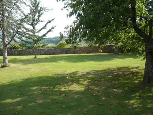 a green yard with a stone wall and a tree at domaine du vernay in Mazille