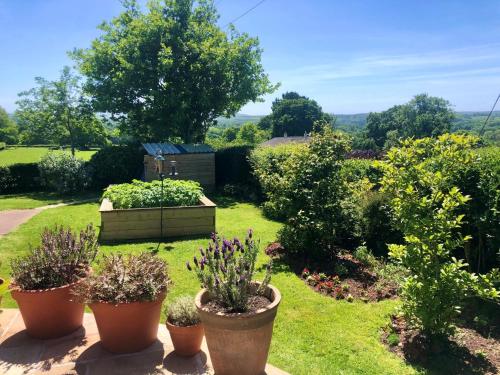 Κήπος έξω από το 1 Bed in Hatherleigh 78087